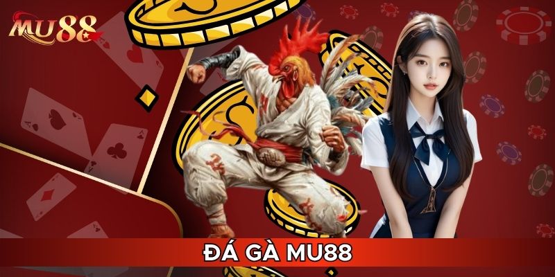 Đá gà MU88 nổi tiếng trên thị trường