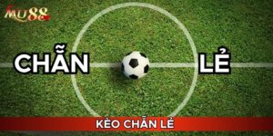 Khám phá kèo chẵn lẻ